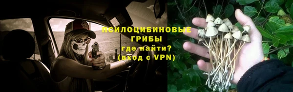мескалин Вяземский