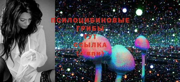 стаф Вязники