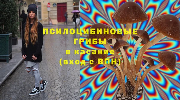 стаф Вязники